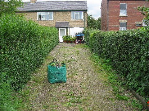 After Hedge was Cut Pic 4