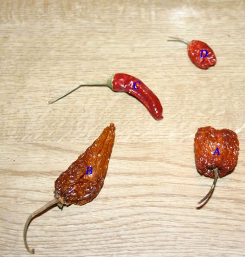 Chilli Seeds
