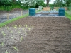 allotment tilled ready for planting out