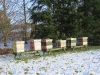 beehives-in-feb-2015-1