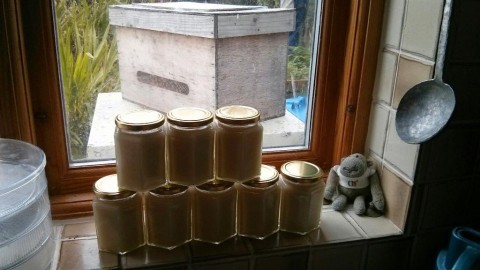 final jars waiting to set (yes, that's a hive outside the window!)
