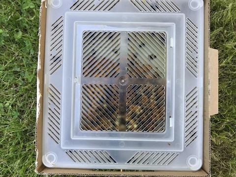 box of bumble bees opened paperwork removed