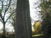 Pre-historic monolith