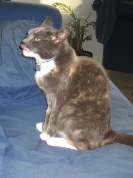 Esther pokes her tongue out