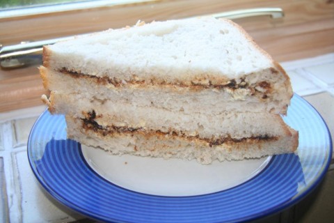 Andy's Vegemite Sandwich