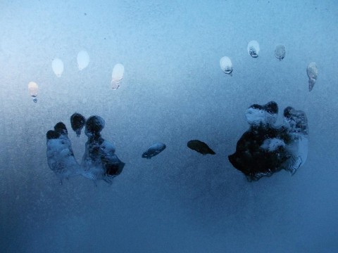 Andy's Hand Prints