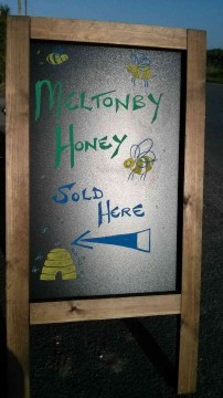 Meltonby Honey Sold Here