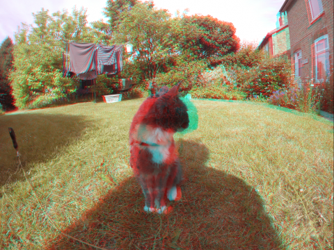 Esther in 3D